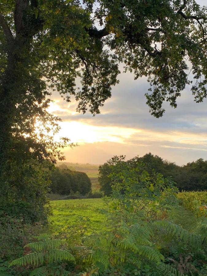 Majellon, Appartement A L'Ouest Sainte-Christie-d'Armagnac Exteriör bild